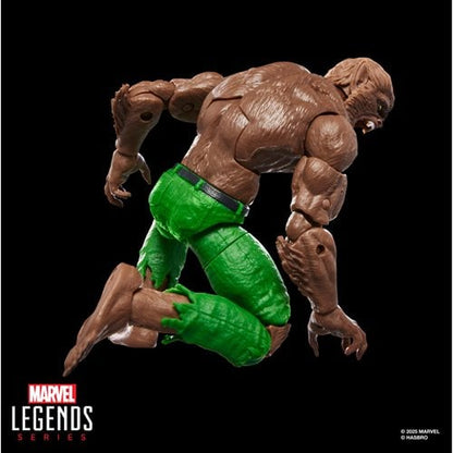 Marvel Legends Series Werewolf By Night 6-Inch Action Figure