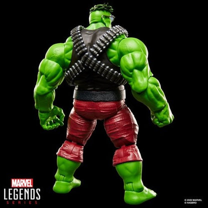 Marvel Legends Series Professor Hulk 6-Inch Action Figure