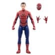 Spider-Man Marvel Legends Friendly Neighborhood Figure